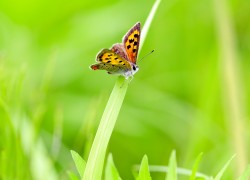 南宫28的体育设施与健身活动