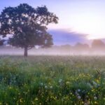 如何通过ng导航实现个性化用户体验 582pf