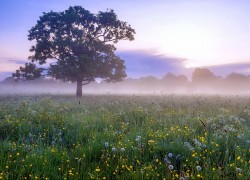如何通过ng导航实现个性化用户体验