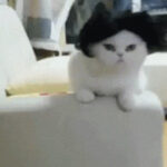 pg问鼎:电竞战队与传统体育的异同与融合 atc64