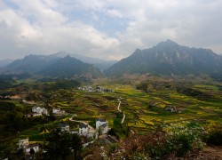 ng导航在数据密集型应用中的表现分析