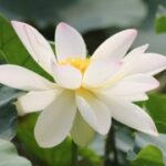 ng官网的用户体验评测与反馈 hzexae6on8