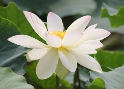 ng官网的用户体验评测与反馈