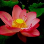 南宫28的交通便利性与出行建议 jcz20rnkd