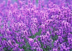 南宫28的名人故事与历史遗迹巡礼