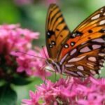 南宫旗下PG的营销策略与推广活动分析 vmbiw