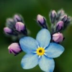 NG28在医疗健康领域的创新应用与前景展望 ya621