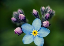 NG28在医疗健康领域的创新应用与前景展望