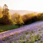 南宫问鼎娱乐:从电影票房看观众的审美变化 yun1a2xb8n