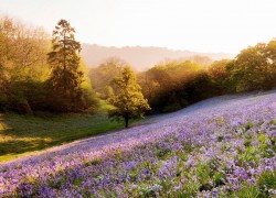 南宫问鼎娱乐:从电影票房看观众的审美变化
